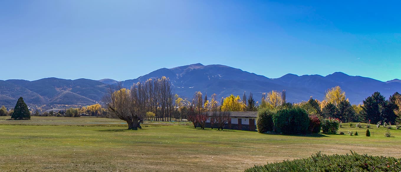 engel & völkers shop image